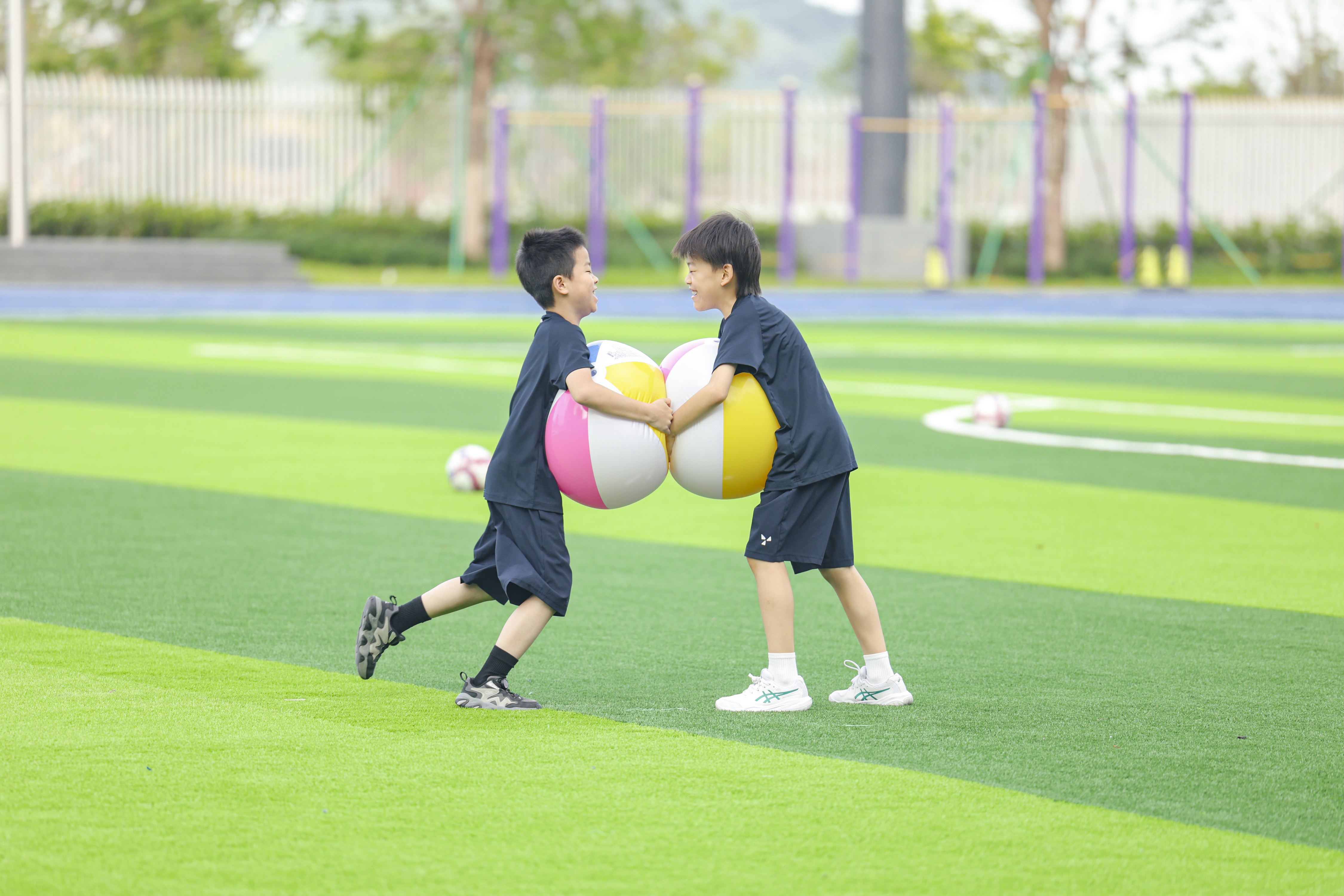 小学及初中课程